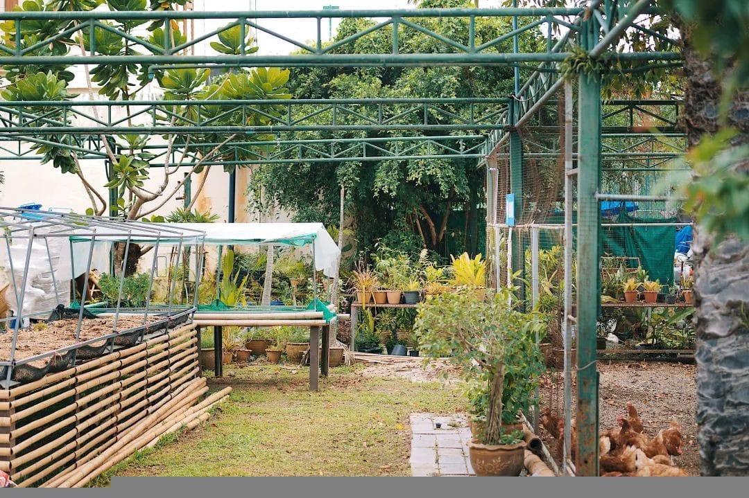 Image 6