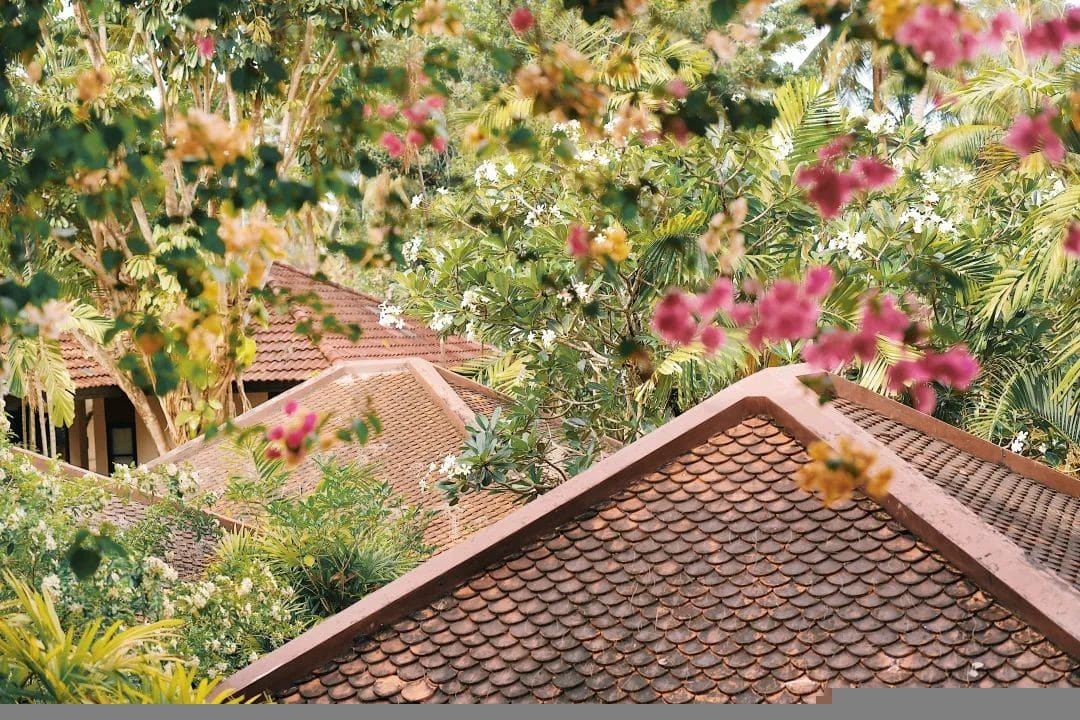 Image 20